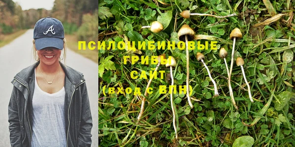 MDMA Premium VHQ Карпинск